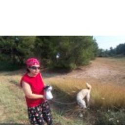 Sevim Tatlıcılar