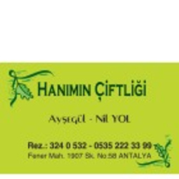 Ayşegül Yol