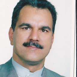 Seyed Reza Bathaee