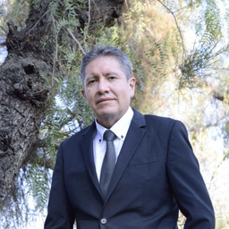 David Alfredo Ferrufino Camacho