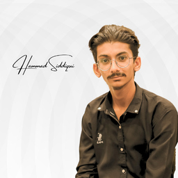 Muhammad Hammad Siddiqui