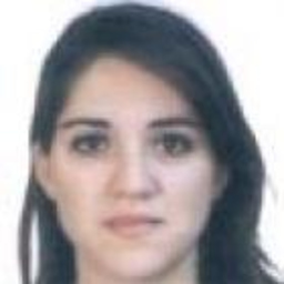 lourdes Sanchez Fernandez de Liencres