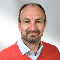 Dragan Crnomarkovic