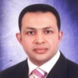 Wael Elemam