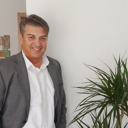 Rallis Tsetinis - Freelancer pmp