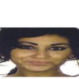 Sibel Benli