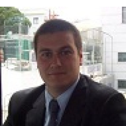 Michele Verdolini