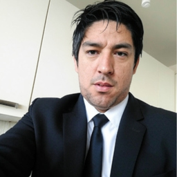 Prof. Ricardo Damian Miranda