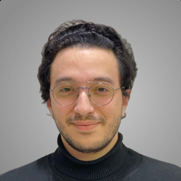 Mohamed Elmanzalawy