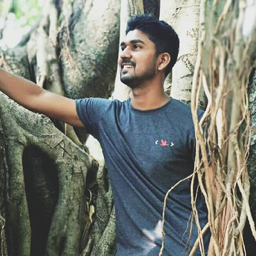 Ing. Swapnil Paunikar