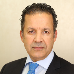 Nabil Frik