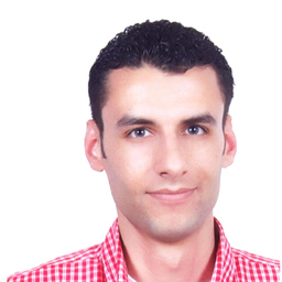 Wael Jouini