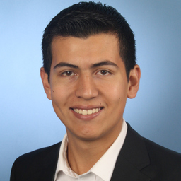 Ing. Mario Salas Robledo