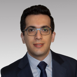 Ing. Hassan Olfat