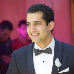 Ing. Hazem Kamal