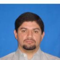 Gonzalo Barrios Medina