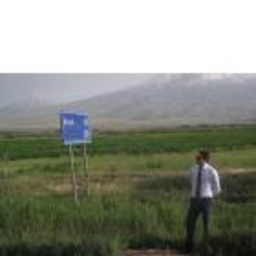Arda Ozdemir