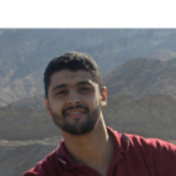 Mohamed Adel El-Badry