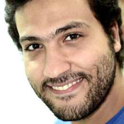 Waleed Arafa
