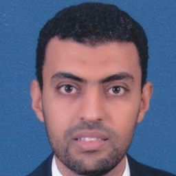 Ing. Mohamed Sherif