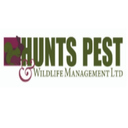 Hunts pest
