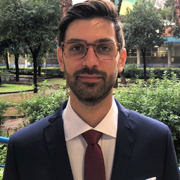Lorenzo Del Giudice