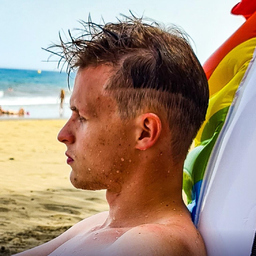 David Pisarski
