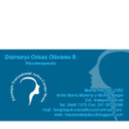 Prof. DAMARYS ORISSA OLIVARES ROMERO