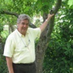 Wolfgang Herweg