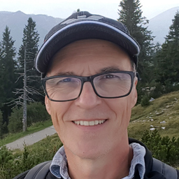 Ingo H. Fleckenstein