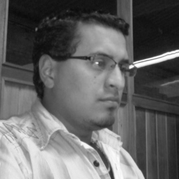 Prof. ALEXANDER PORTILLO VILLARREAL