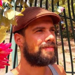 Henrique Serro