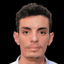 Abdelkarim ZIANI-KERARTI