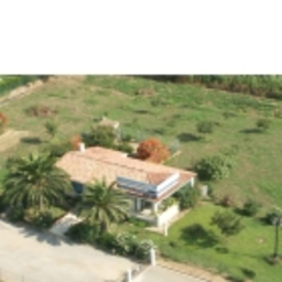 Piera Selleri