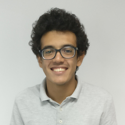 Mohamed El-Fawal