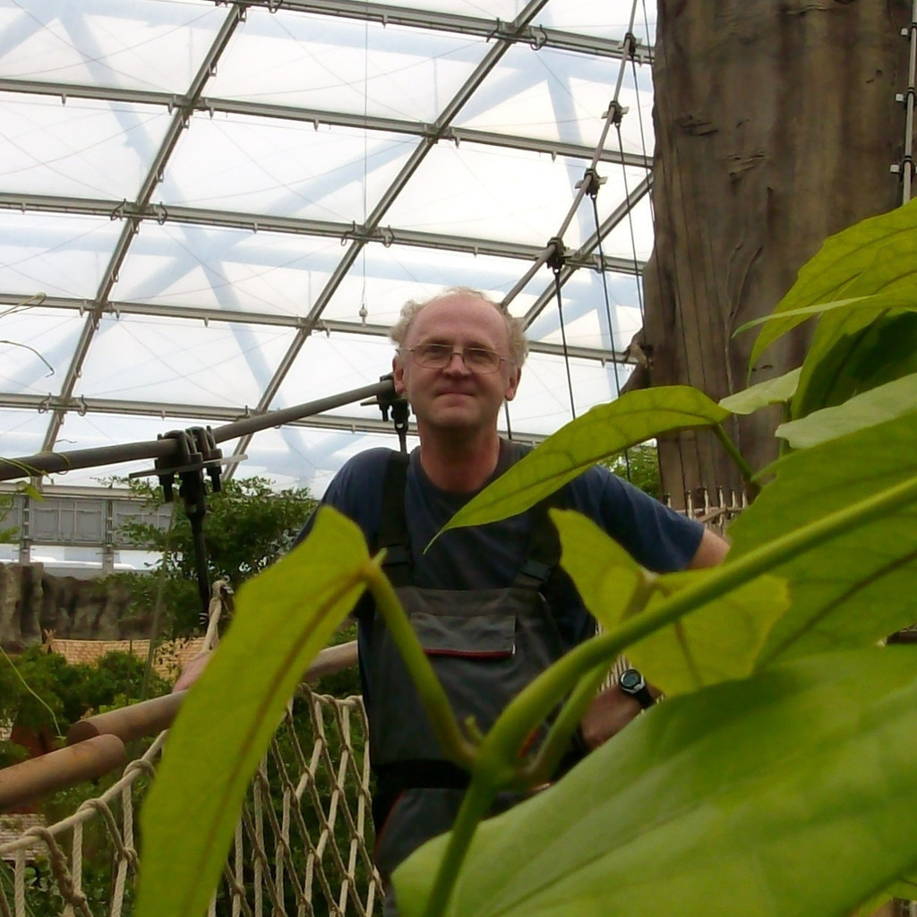 Andreas Ewald Elektroinstallateur SBF Spezialleuchten GmbH XING