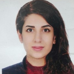 Sepideh Mohammadi Kouhini