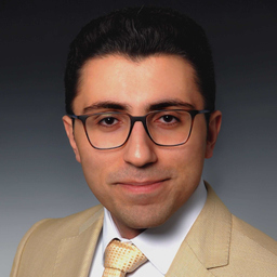 Mohammad Hossein Haji Karimisari