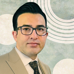 Mostafa Mostafaiy's profile picture