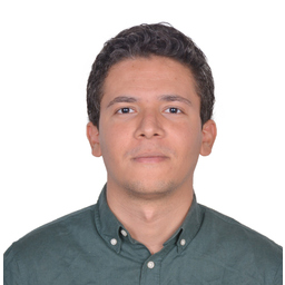 Mohamed Mehdi Dridi