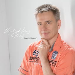 Karl-Heinz Streif's profile picture