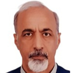 Amir Moghadam