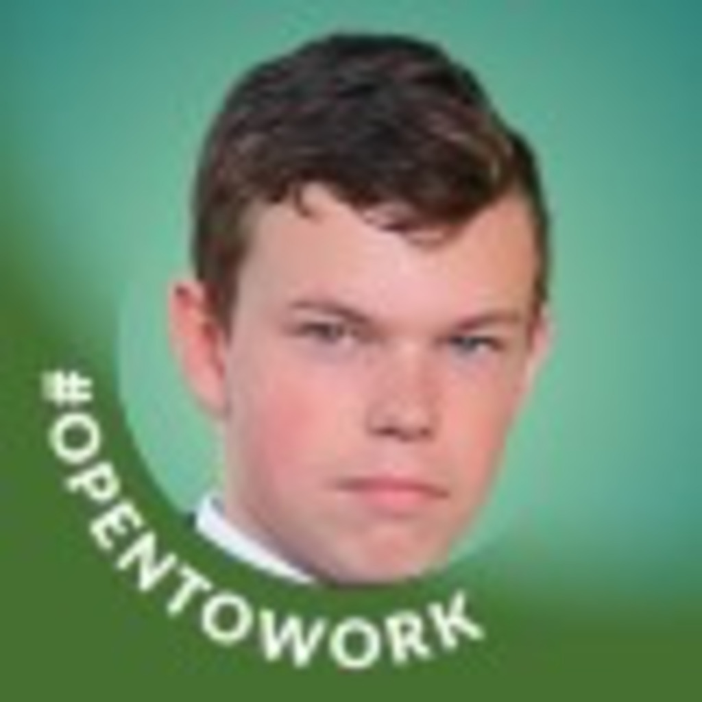  frontend developer freelance self employed xing