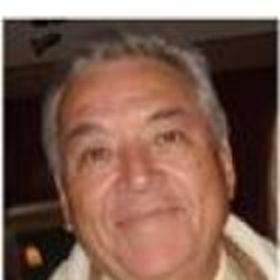 Javier Hernandez Partida