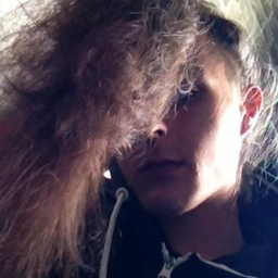 Niklas Müller's profile picture