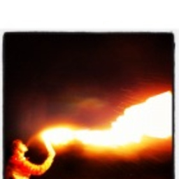 Roger Mueller's profile picture