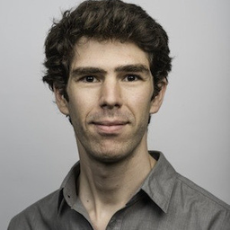 David Vieille