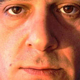 Toni Pletikosic