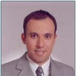 Ali Deniz YETKİN