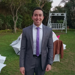 Ahmed El-Sakka